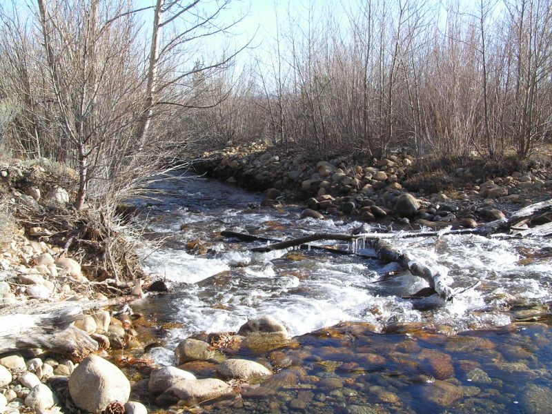 Lee Vining Creek